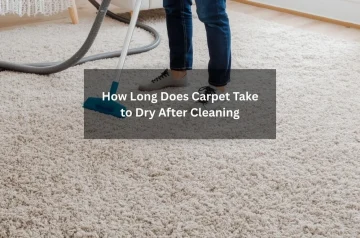 How Long Does Carpet Take to Dry After Cleaning? The 2026 Homeowner Guide